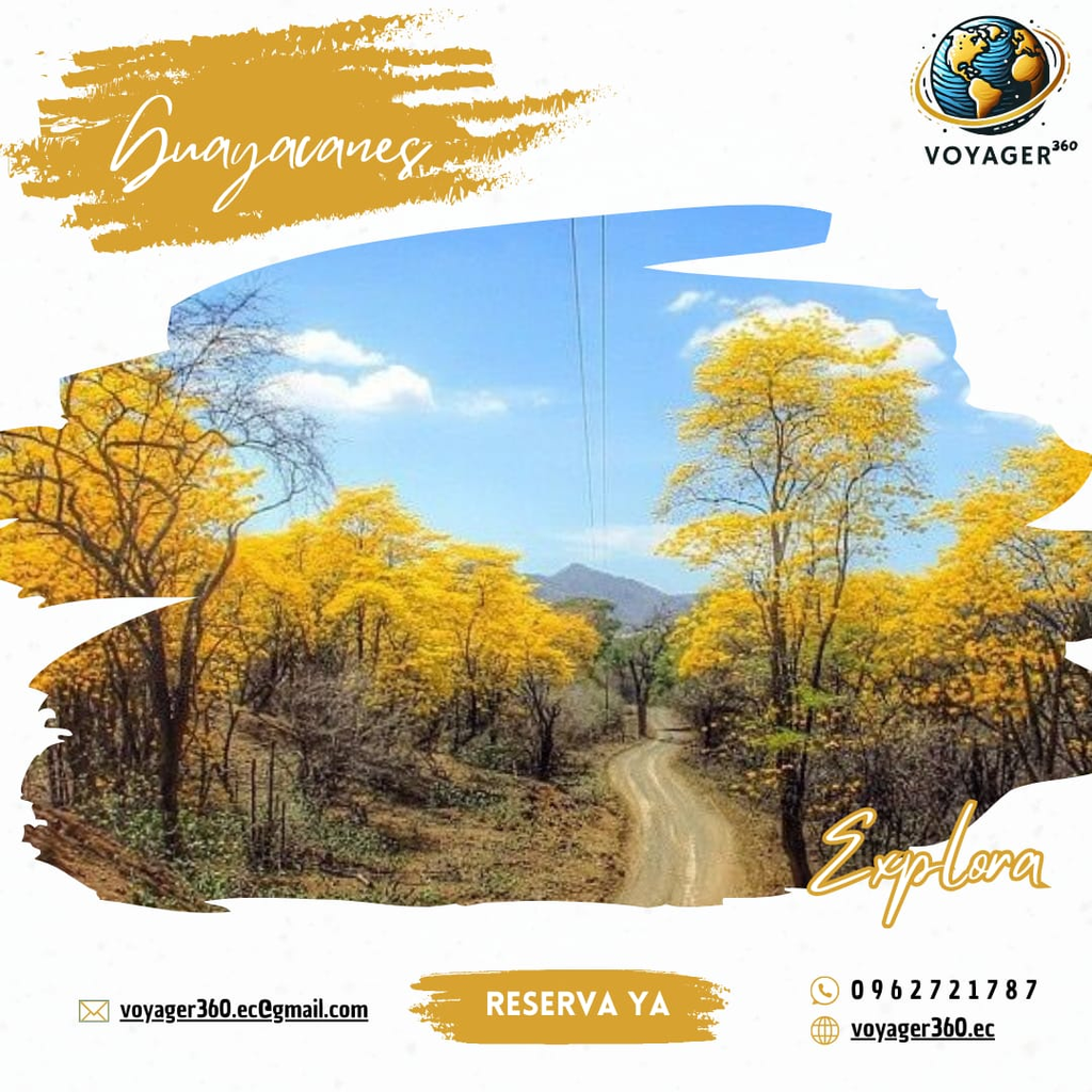 Full Day Guayacanes 10% Adulto mayor